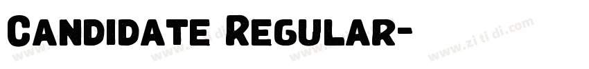 Candidate Regular字体转换 Candidate Regular字体转换